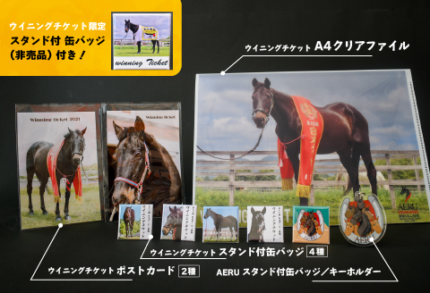 優駿ビレッジAERU G1馬オリジナルグッズ(計13個)[07-1168]