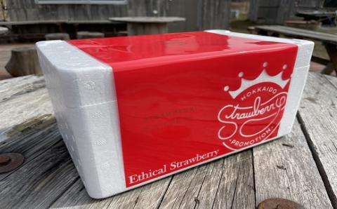 果肉55%「夏いちごアイス(12個)」【全4回定期便】[22-999]