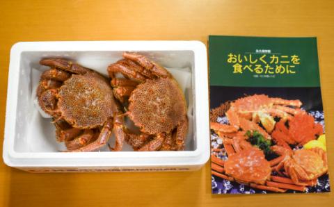 【先行受付開始！】漁協の活毛がに 大サイズ２尾セット※日付指定対応不可※[02-507]