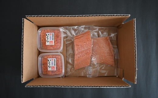 北海道日高産「塩いくら」＆「チェリーサーモン」刺身柵セット各2P[01-1544]