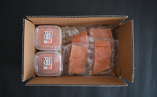 北海道日高産「塩いくら」＆「チェリーサーモン」刺身柵セット各4P[01-1545]