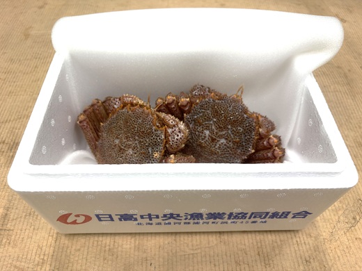 【今が旬！】漁協の活毛がに 小サイズ２尾セット※日付指定対応不可※[02-1205]