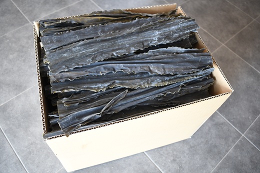 お徳用・訳アリ 日高昆布 2kg[06-1590]