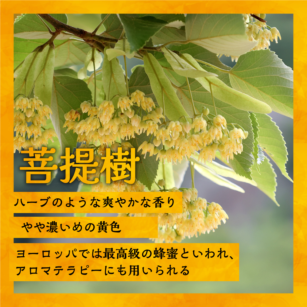 国産純粋完熟はちみつ小瓶セット(アカシア・黄金草・菩提樹)[16-1001]