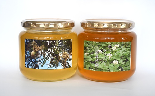 国産純粋完熟はちみつ大瓶セット(アカシア・ホワイトクローバー)580g×2本[16-1524]