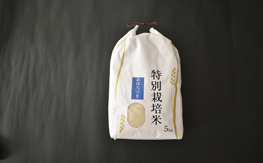 北海道浦河町の特別栽培米「おぼろづき」精米(5kg×1袋)定期便(全6回)[37-1492]