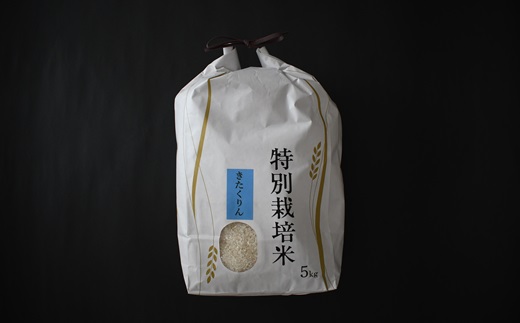 浦河の特別栽培米「きたくりん」精米(5kg×1袋)定期便(全3回)[37-1493]