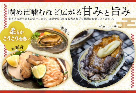 【12月発送！】活蝦夷あわび×5個[46-1344]