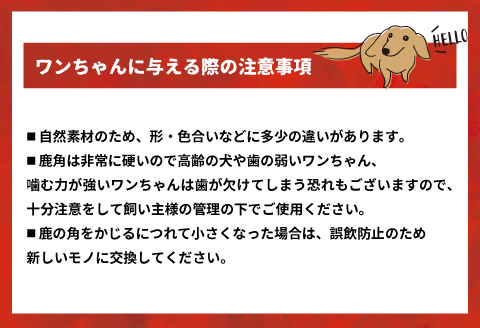 犬用「鹿の角」XLサイズ×1本[53-1635]