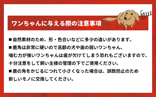 エゾ鹿の角　Lサイズよくばりセット(1本物・角先・半割)[54-1575]