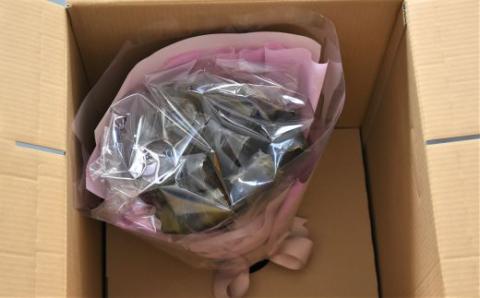 昆布の花束 浦河喜コンブーケ(ミニ)50cmx10本[23-555]