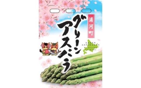 【4月上旬頃より発送！】北海道浦河産 アスパラガス3色食べ比べセット(1kg)[03-133]