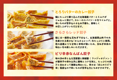 ラーメンまさご自慢の「浦河餃子」定期便(全3回)[04-1233]