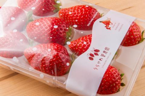 【先行受付開始！】北海道浦河産いちご「かおり野」230g×3P[13-113]