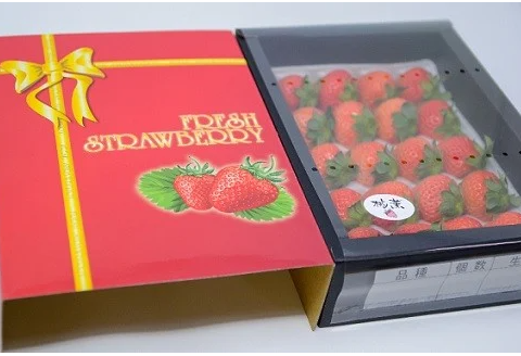 【先行受付開始！】北海道浦河産いちご「桃薫」270g×1P[13-279]