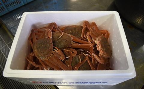 訳あり ゆでオオズワイガニ約2kg(8尾前後入)[02-1306]