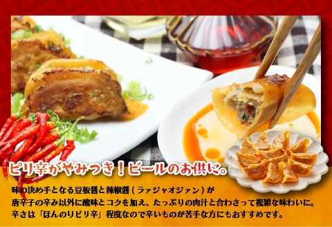 さらさらレッド餃子ほか2種の餃子(行者にんにく・ピリ辛)20個入×各1袋[04-1106]