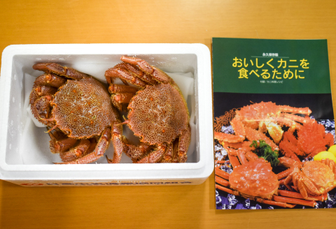 【先行受付開始！】漁協の活毛がに 中サイズ２尾セット※日付指定対応不可※[02-175]