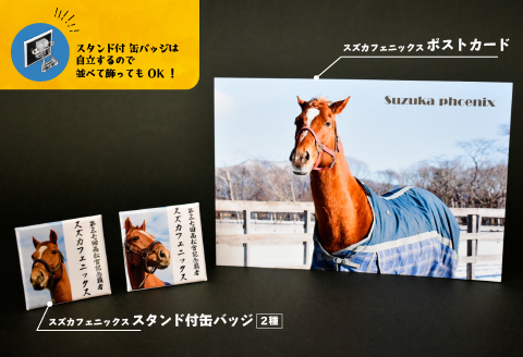 優駿ビレッジAERU G1馬オリジナルグッズ(計13個)[07-1168]