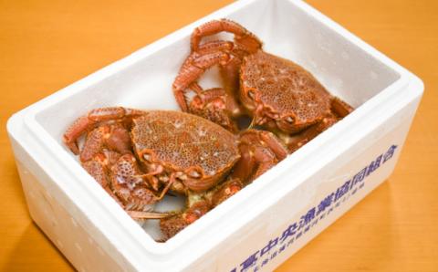 【先行受付開始！】漁協の活毛がに 小サイズ２尾セット※日付指定対応不可※[02-1205]