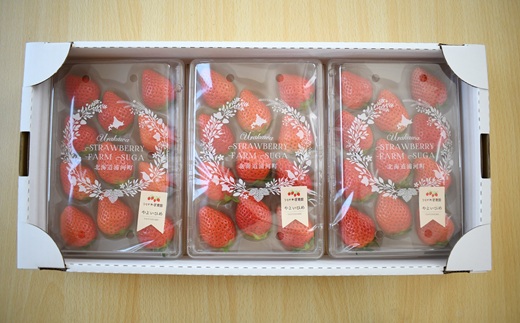 【先行受付開始！】北海道浦河産いちご「かおり野」230g×3P[13-113]