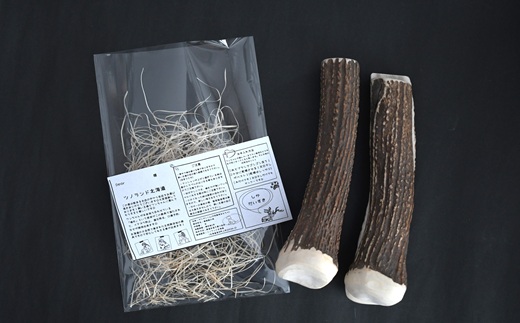 エゾ鹿の角 Lサイズ×2本セット(1本物)[54-1533]