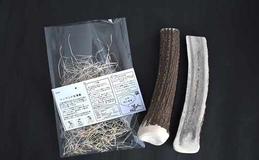 エゾ鹿の角 Lサイズ1本と半割1本のセット[54-1534]