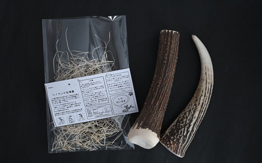 エゾ鹿の角　Lサイズ1本物と角先のセット[54-1574]