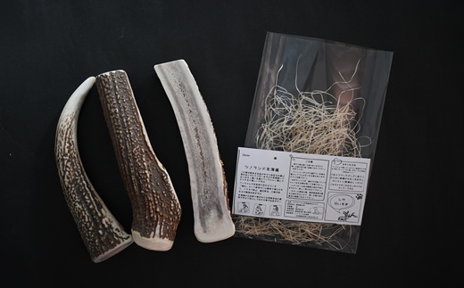 エゾ鹿の角　Lサイズよくばりセット(1本物・角先・半割)[54-1575]