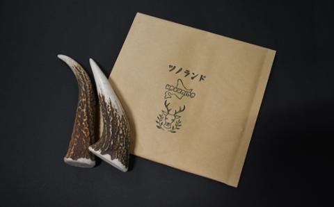 エゾ鹿の角先 Mサイズ×2本セット(1本物)[54-1364]