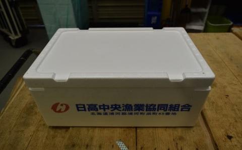 訳あり 活オオズワイガニ約2kg(8尾前後入)[02-1301]