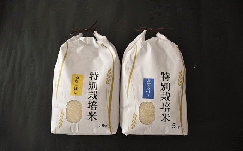 【新米発送！】北海道浦河町の特別栽培米「ななつぼし＆おぼろづき」食べ比べセット(計10kg)[37-1131]