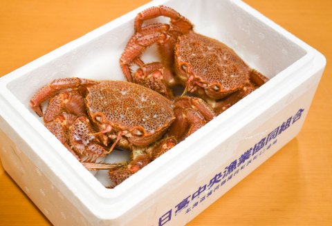 【先行受付開始！】漁協の活毛がに 中サイズ２尾セット※日付指定対応不可※[02-175]