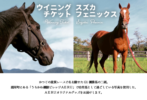 優駿ビレッジAERU G1馬オリジナルグッズ(計13個)[07-1168]