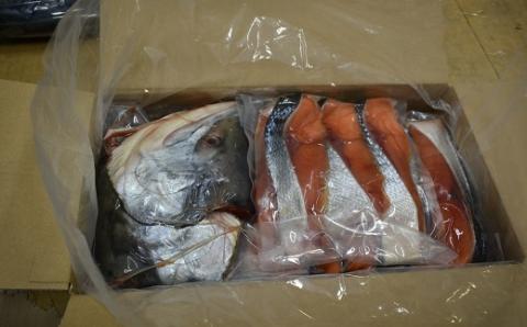 漁協の新巻鮭(大サイズ) 丸ごと切身3.0kg前後 [02-1030]