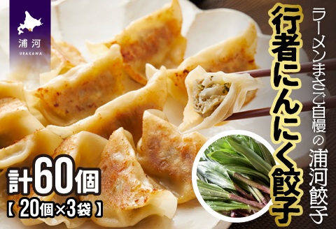 行者にんにく餃子(20個x3袋)[04-617]