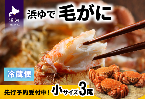 【先行受付開始！】漁協の浜ゆで毛がに 小サイズ３尾セット※日付指定対応不可※[02-1201]