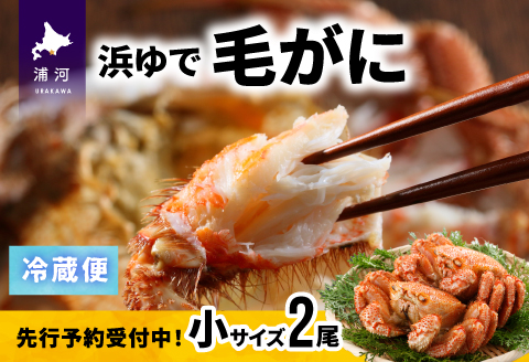 【先行受付開始！】漁協の浜ゆで毛がに 小サイズ２尾セット※日付指定対応不可※[02-1202]