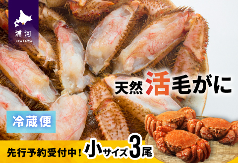 【先行受付開始！】漁協の活毛がに 小サイズ３尾セット※日付指定対応不可※[02-1206]