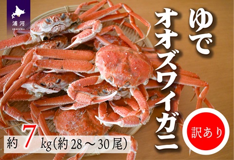 訳あり ゆでオオズワイガニ約7kg(約28～30尾入)[02-1412]