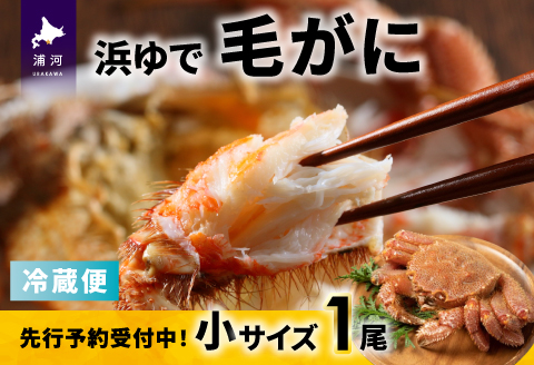 【先行受付開始！】漁協の浜ゆで毛がに 小サイズ１尾※日付指定対応不可※[02-1413]