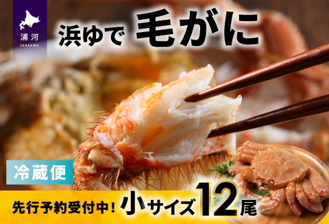 【先行受付開始！】漁協の浜ゆで毛がに 小サイズ12尾セット※日付指定対応不可※[02-1415]