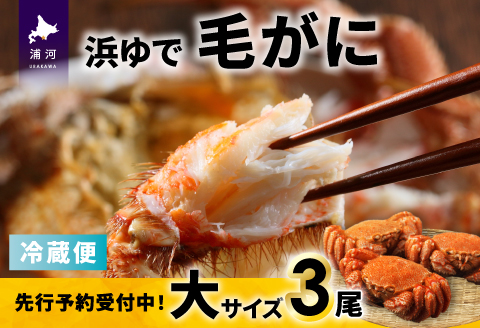【先行受付開始！】漁協の浜ゆで毛がに 大サイズ３尾※日付指定対応不可※[02-1416]