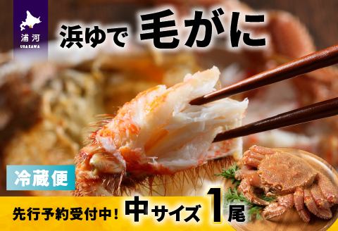 【先行受付開始！】漁協の浜ゆで毛がに 中サイズ１尾※日付指定対応不可※[02-1417]