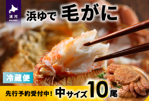 【先行受付開始！】漁協の浜ゆで毛がに 中サイズ10尾※日付指定対応不可※[02-1418]