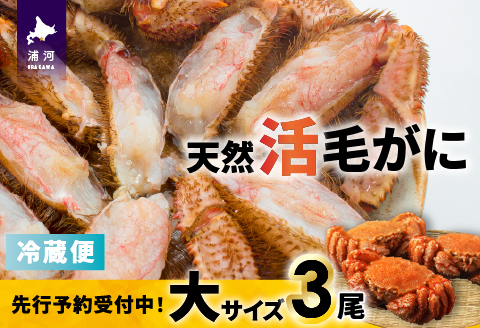 【先行受付開始！】漁協の活毛がに 大サイズ３尾※日付指定対応不可※[02-1420]