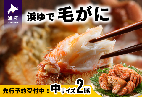 【先行受付開始！】漁協の浜ゆで毛がに 中サイズ２尾セット※日付指定対応不可※[02-173]
