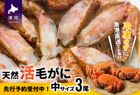 【先行受付開始！】漁協の活毛がに 中サイズ３尾セット※日付指定対応不可※[02-176]