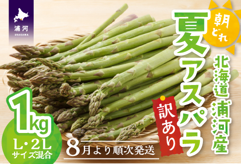 【今が旬!】北海道浦河産 朝採り夏アスパラ(グリーン)1kg[03-145]