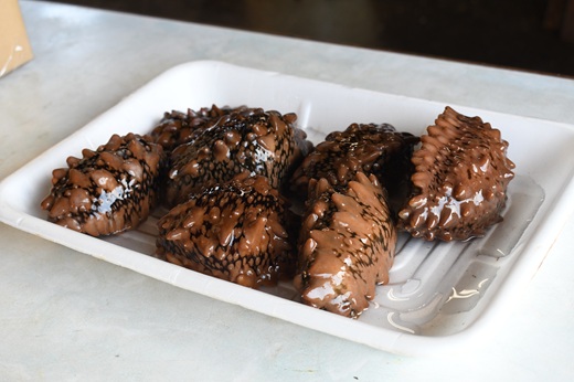 北海道浦河産『活なまこ』1kg※不在日・日付指定対応不可※[06-1591]